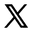 X icon